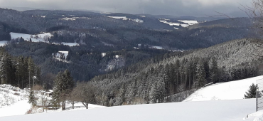 Schwarzwald Multiple Sklerose Blogger